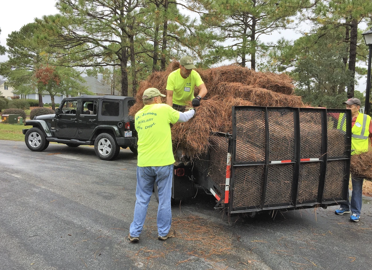 Pine Straw